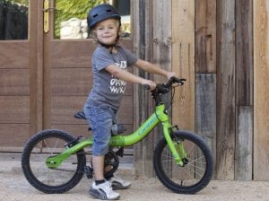 Orbea Grow