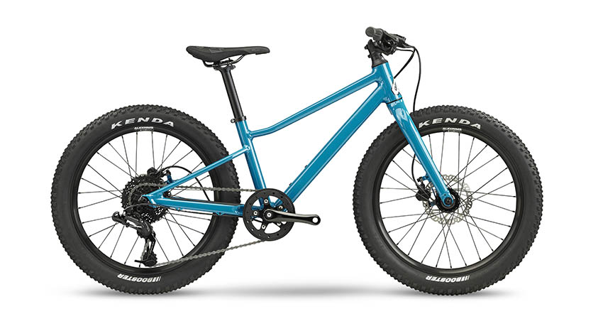 BMC BLAST 20