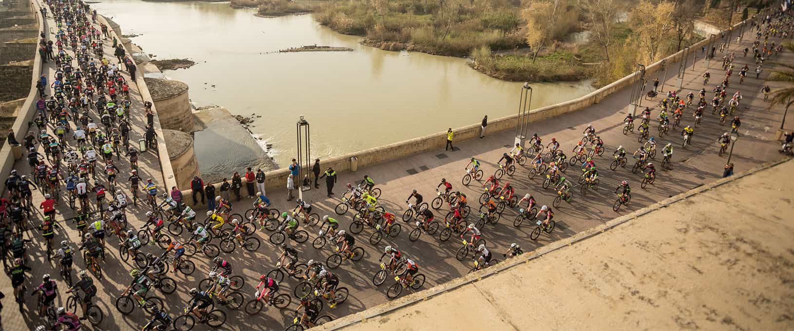 Licencias de ciclismo