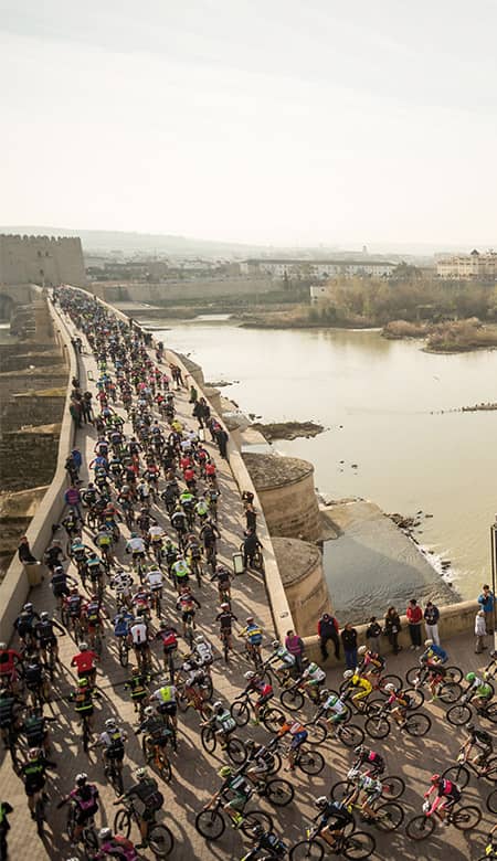 Licencias de ciclismo