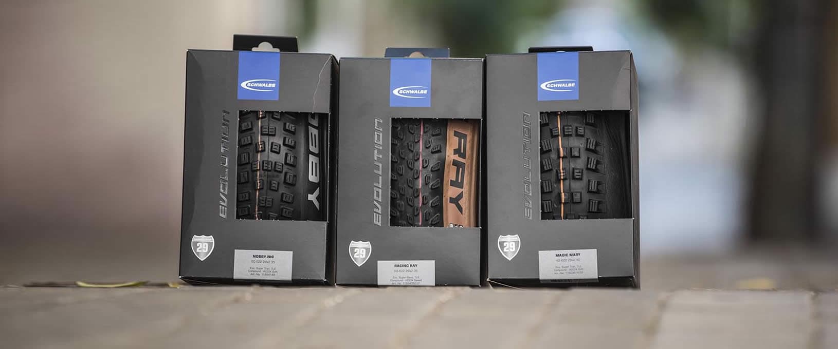 Gama Schwalbe 2021