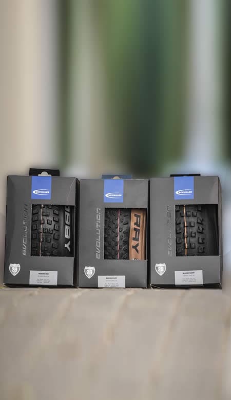 Gama Schwalbe 2021