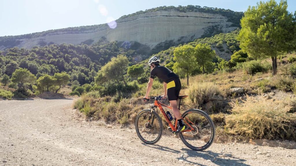 En nuestra ruta por Ejea de los Caballeros atravesamos toda la Plana de La Negra