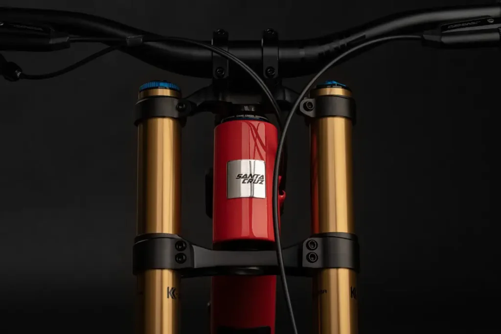 Santa Cruz V10 2024