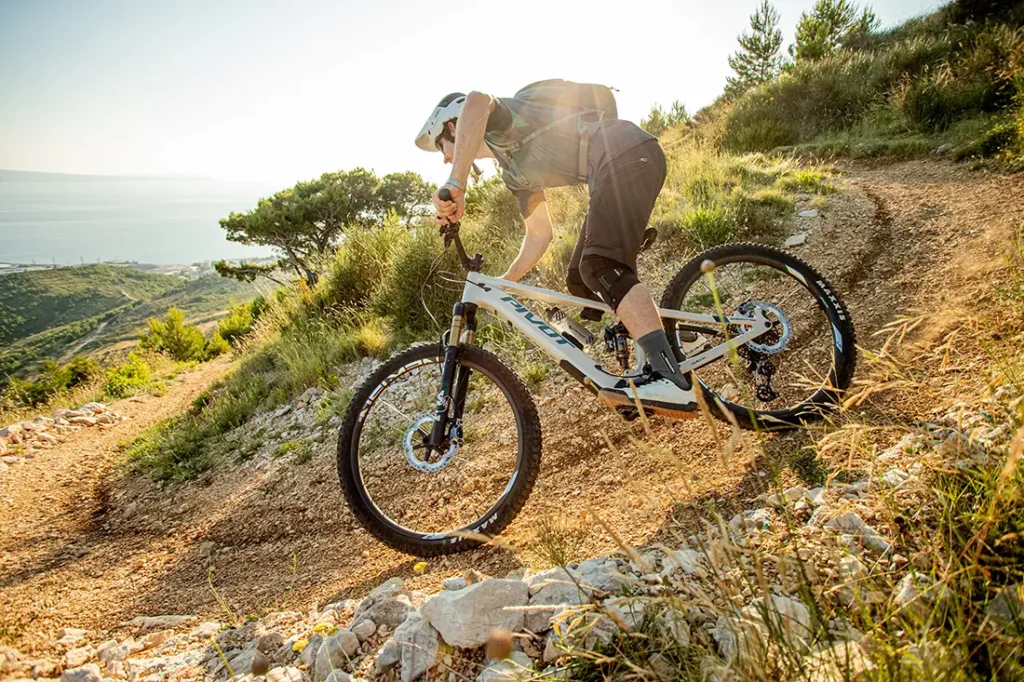 Pivot Shuttle AM