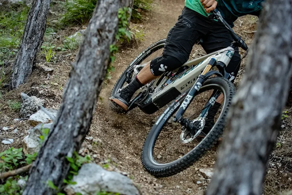Pivot Shuttle AM