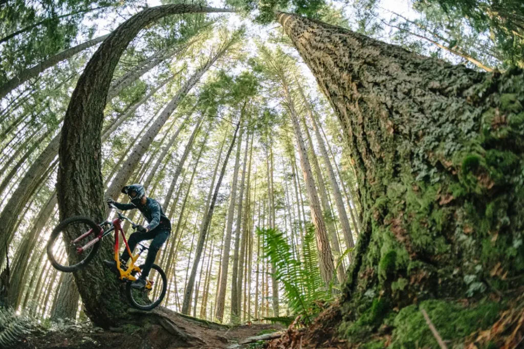 Un ciclista con casco conduce una MTB roja por un sendero forestal, rodeado de árboles altos y densos y una exuberante vegetación, navegando suavemente por el terreno con el RockShox Reverb AXS que mejora su recorrido.