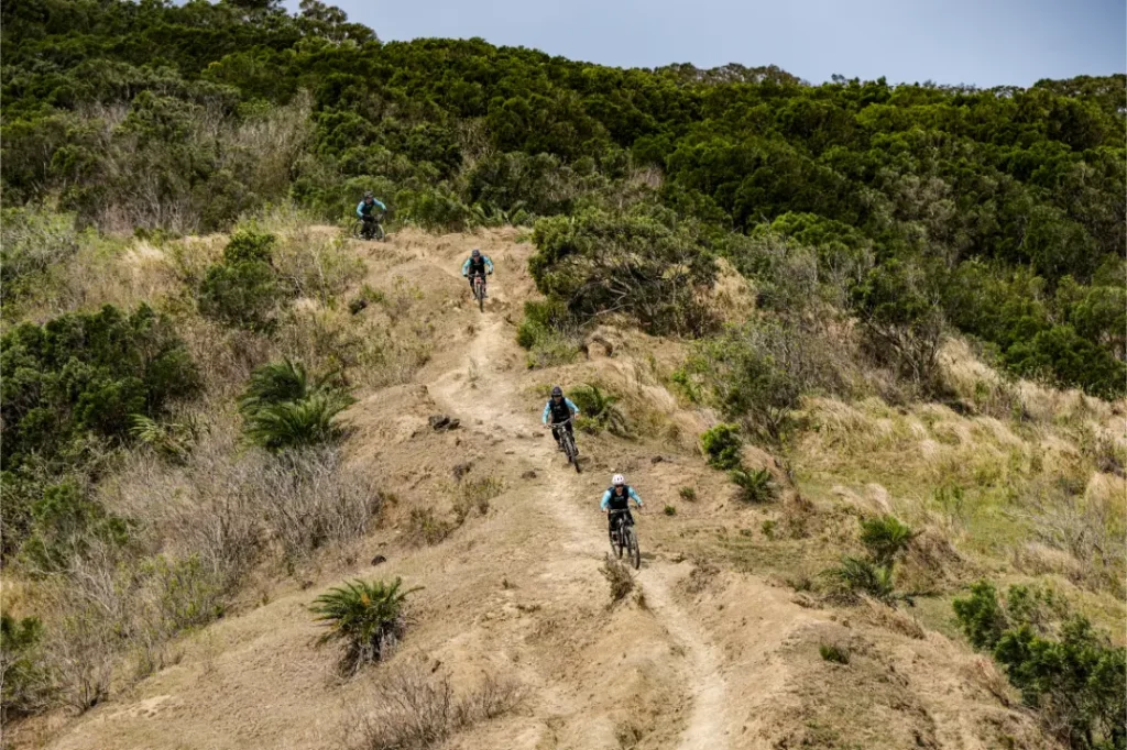 Cuatro ciclistas de montaña descienden por un sendero de tierra a través de una ladera cubierta de hierba y arbustos bajo un cielo nublado, uno de ellos equipado con una tija telescópica inalámbrica RAGE Circuit para un máximo control de la conducción.