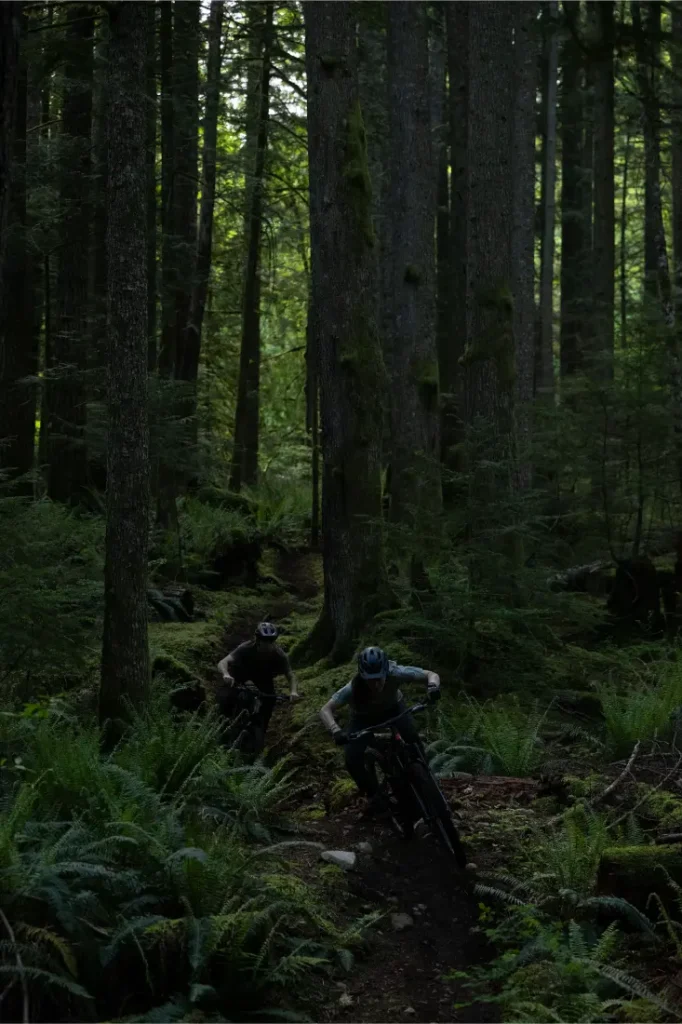 Dos personas montan en bicicletas de montaña Santa Cruz Vala AL por un estrecho sendero de tierra a través de un denso y verde bosque con altos árboles y helechos, disfrutando de la ligera agilidad de sus cuadros de aluminio.