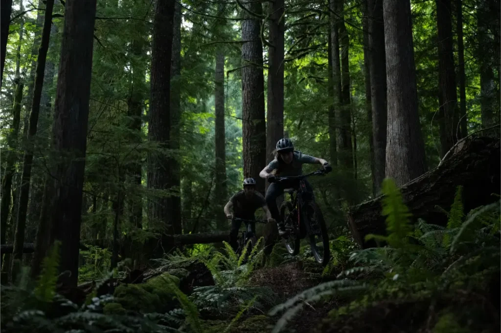 Dos personas con casco montan en bicicletas de montaña Santa Cruz Vala AL por un estrecho sendero a través de un denso y verde bosque con altos árboles y helechos, mostrando la durabilidad de los cuadros de aluminio.