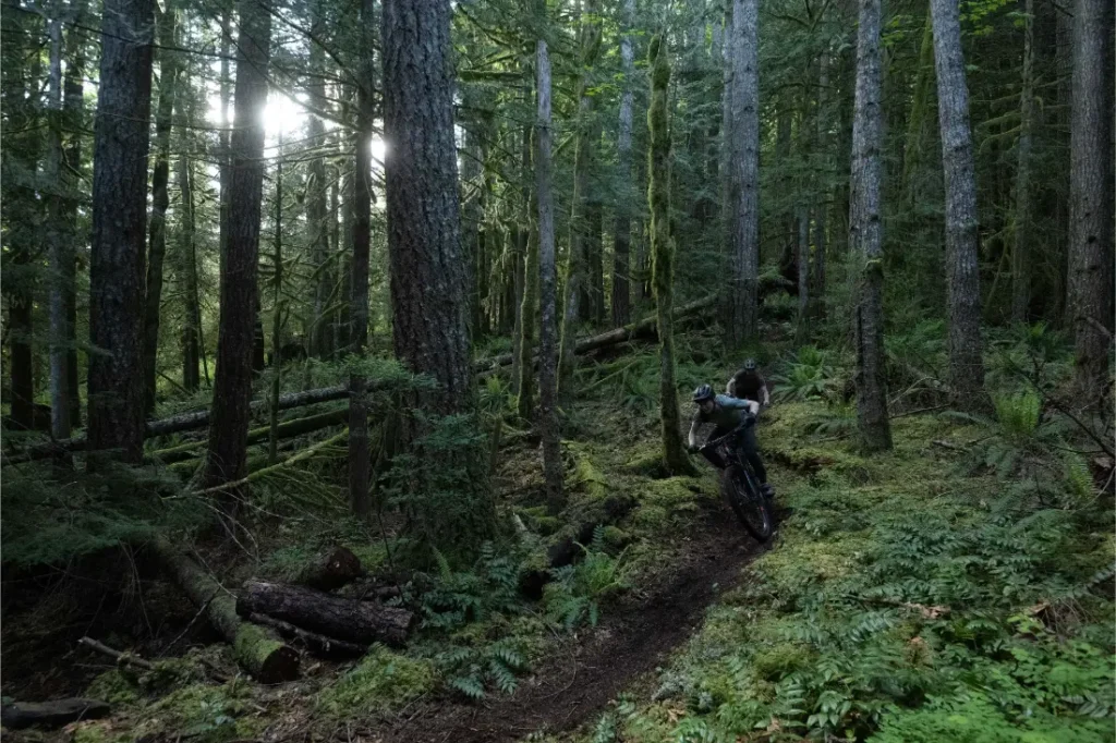 Una persona conduce una bicicleta de montaña Santa Cruz Vala AL con cuadro de aluminio por un estrecho sendero de tierra a través de un bosque denso y verde con árboles altos y luz solar filtrada.