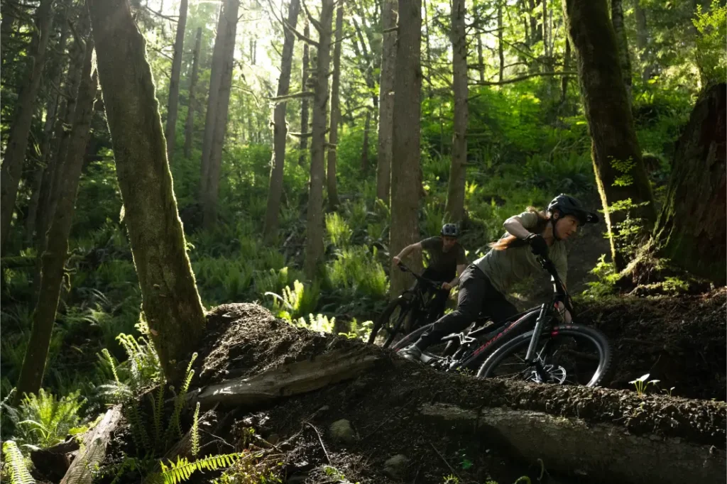 Dos ciclistas montan en bicicletas de montaña Santa Cruz Vala AL por un sendero de tierra a través de un bosque denso e iluminado por el sol, con helechos y árboles altos, disfrutando de la durabilidad de los cuadros de aluminio.
