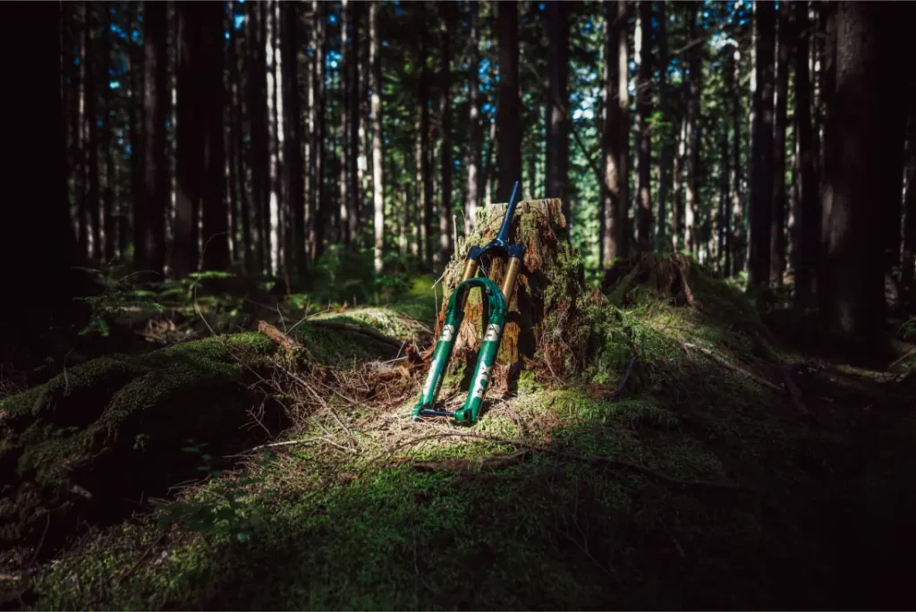Una horquilla FOX 38 Racing Green descansa contra un tocón de árbol en un bosque iluminado por el sol, rodeada de árboles altos y suelo cubierto de musgo.