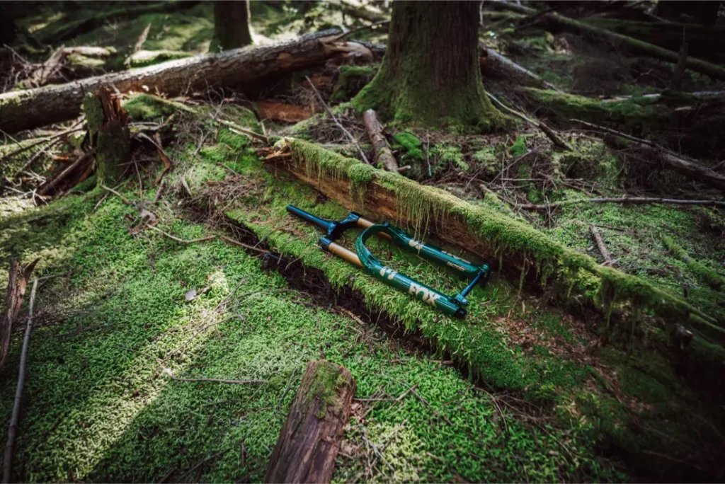 Una horquilla de bicicleta FOX 38 Racing Green descansa sobre un suelo cubierto de musgo en un bosque denso e iluminado por el sol, rodeada de árboles y troncos caídos.