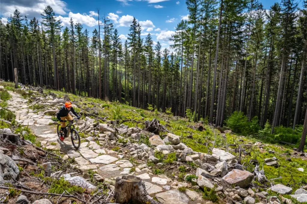 Una persona con casco naranja monta en bicicleta de montaña por un sendero rocoso entre los altos árboles de Bike Region Glacensis bajo un cielo parcialmente nublado.