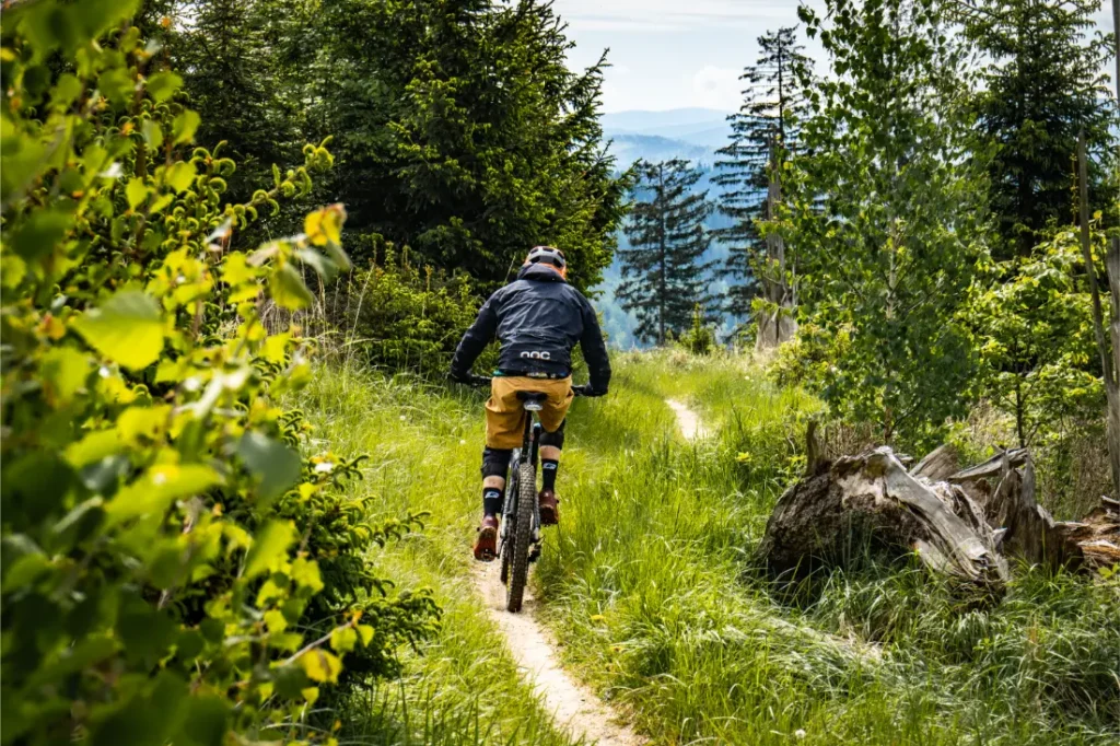 Una persona monta en bicicleta de montaña por un estrecho sendero de tierra a través de los frondosos y verdes bosques de Bike Region Glacensis, con altos árboles y colinas lejanas al fondo.