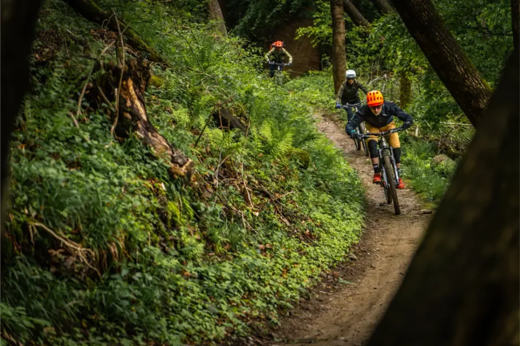 Tres ciclistas con casco montan en bicicleta de montaña por un estrecho sendero de tierra a través de un frondoso y verde bosque en la pintoresca Bike Region Glacensis.