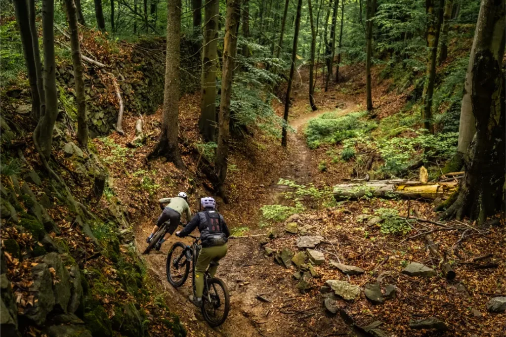 Dos personas montan en bicicleta de montaña por un estrecho sendero de tierra a través del denso y verde bosque y el terreno rocoso de Bike Region Glacensis, esquivando por el camino ramas caídas dispersas.