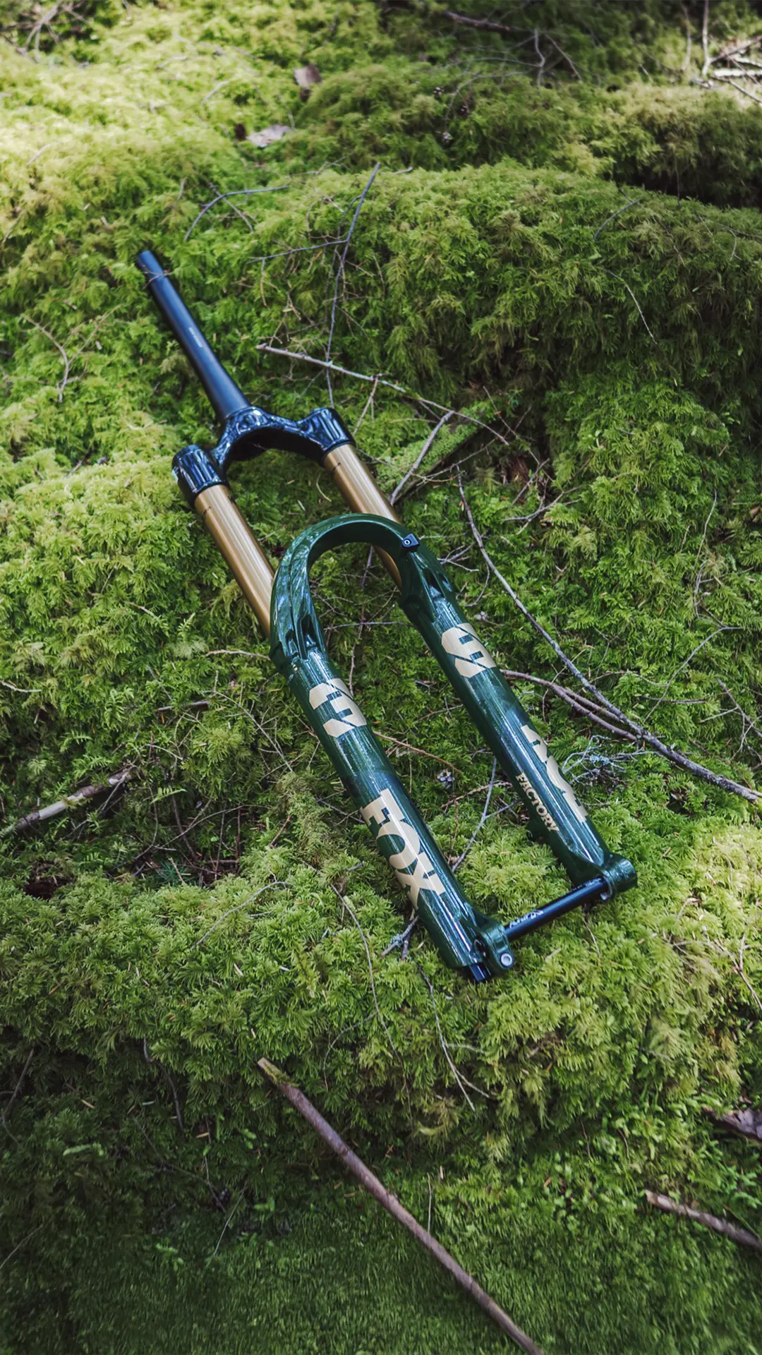 Una horquilla de suspensión de bicicleta de montaña FOX 38 Racing Green descansa sobre un lecho de musgo en un sereno entorno forestal.