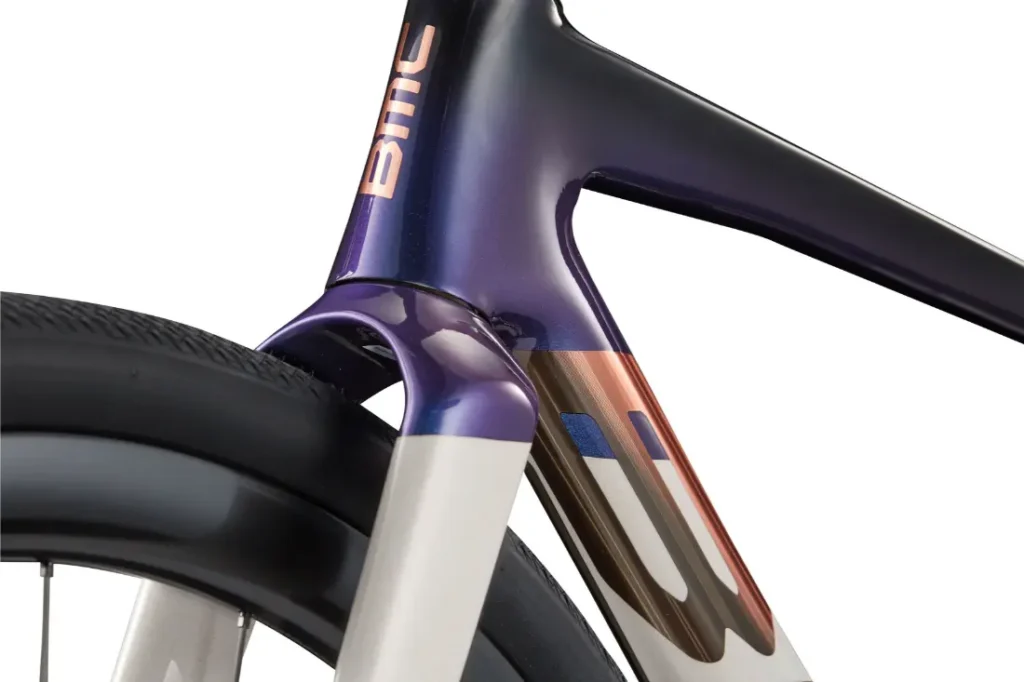 Primer plano del cuadro y la rueda trasera de una bicicleta real, mostrando el tubo del sillín, el tirante y la marca BMC Kaius 01 con un acabado multicolor brillante.