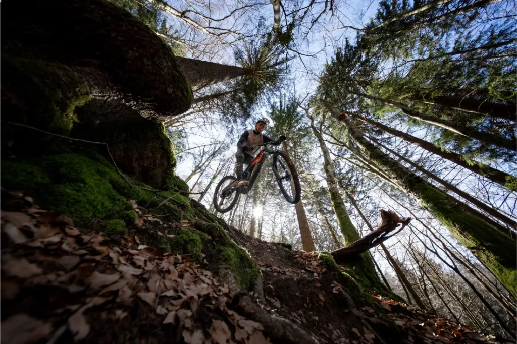 Una persona montada en una bicicleta de montaña Rotwild R.EXC compite desde un pequeño desnivel en un bosque, rodeada de altos árboles y la luz del sol filtrándose entre las ramas.