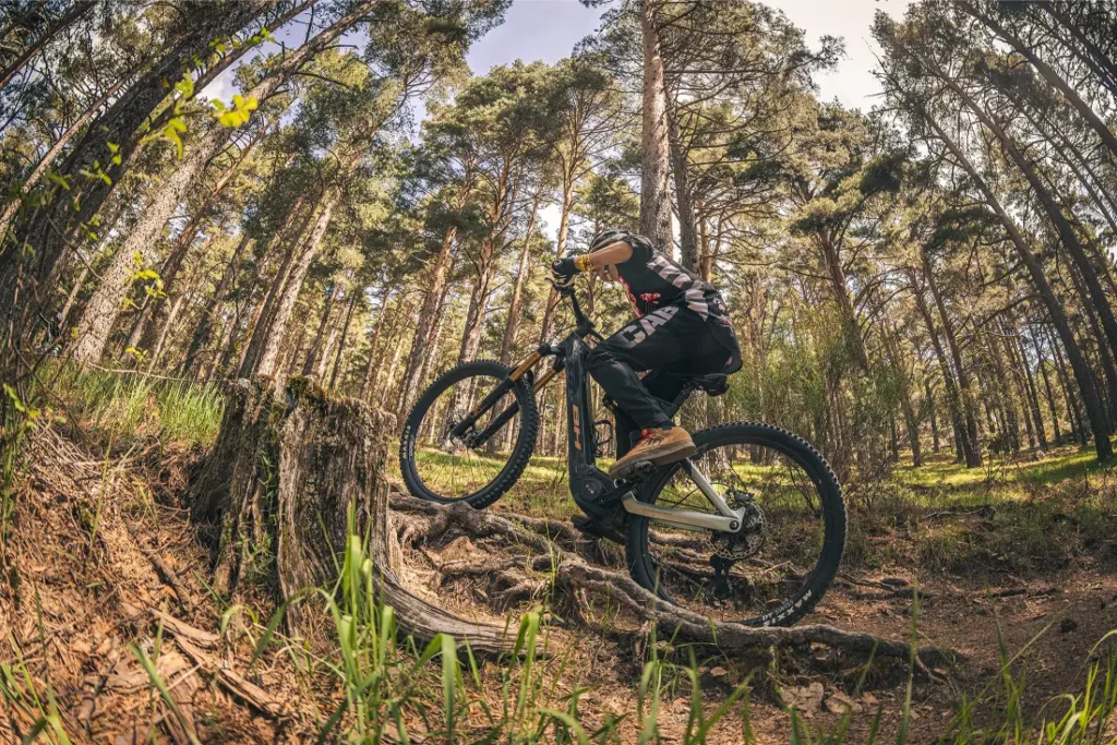 Una persona conduce una bicicleta de montaña cuesta arriba sobre las raíces de los árboles en un camino de tierra, rodeada de altos pinos en un bosque, confiando en la Bosch Performance Upgrade para una potencia extra y un control preciso.
