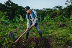 Una persona con gorra, botas y manga larga utiliza una azada para trabajar la tierra cerca de Schwalbe neumáticos en un verde campo agrícola tropical rodeado de árboles.