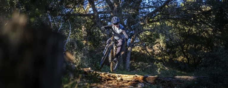 Review Bosch Performance Line CX