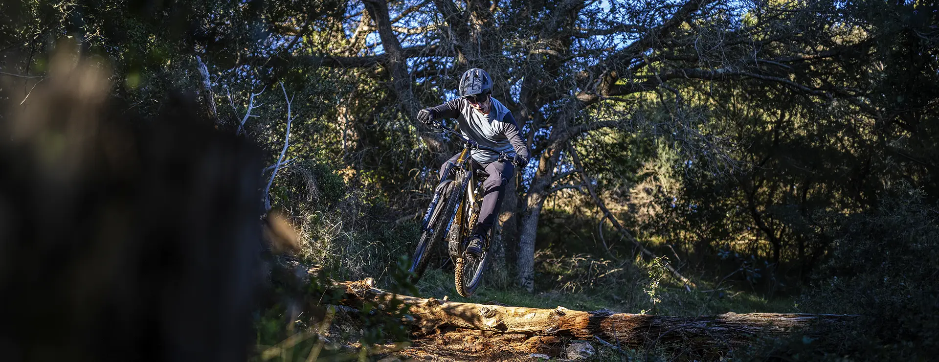 Review Bosch Performance Line CX
