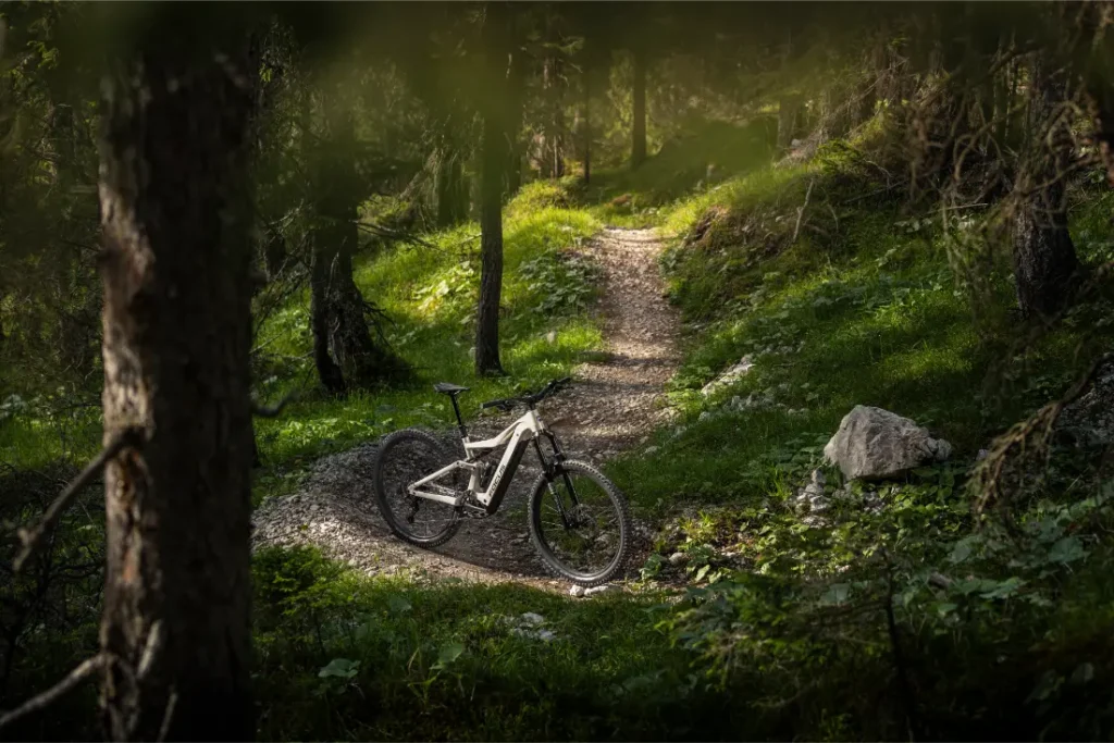 Una bicicleta eléctrica de montaña (e-MTB) FOCUS 2027 está aparcada en un estrecho sendero de tierra que serpentea a través de un bosque verde y soleado, salpicado de árboles y rocas.