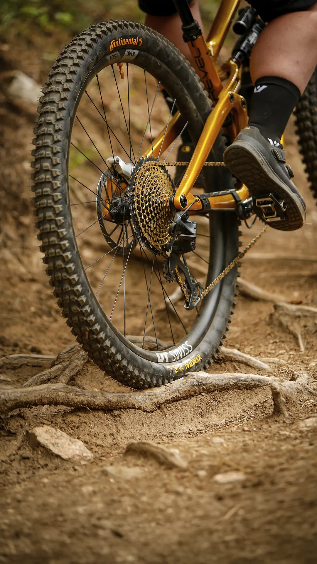 Primer plano de una rueda y un pedal de bicicleta de montaña en un sendero de tierra con raíces de árboles al descubierto; se ve el pie del ciclista. Las resistentes cubiertas de MTB, entre las que se incluye el fiable modelo Continental Gravity, se agarran al terreno para permitir una conducción segura en las bicicletas de montaña.
