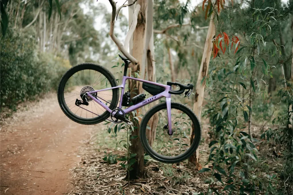 Una bicicleta gravel de color morado cuelga del tronco de un árbol junto a un sendero de tierra en una zona boscosa con eucaliptos, mostrando su diseño polivalente y dando una pista de las aventuras que están por venir.