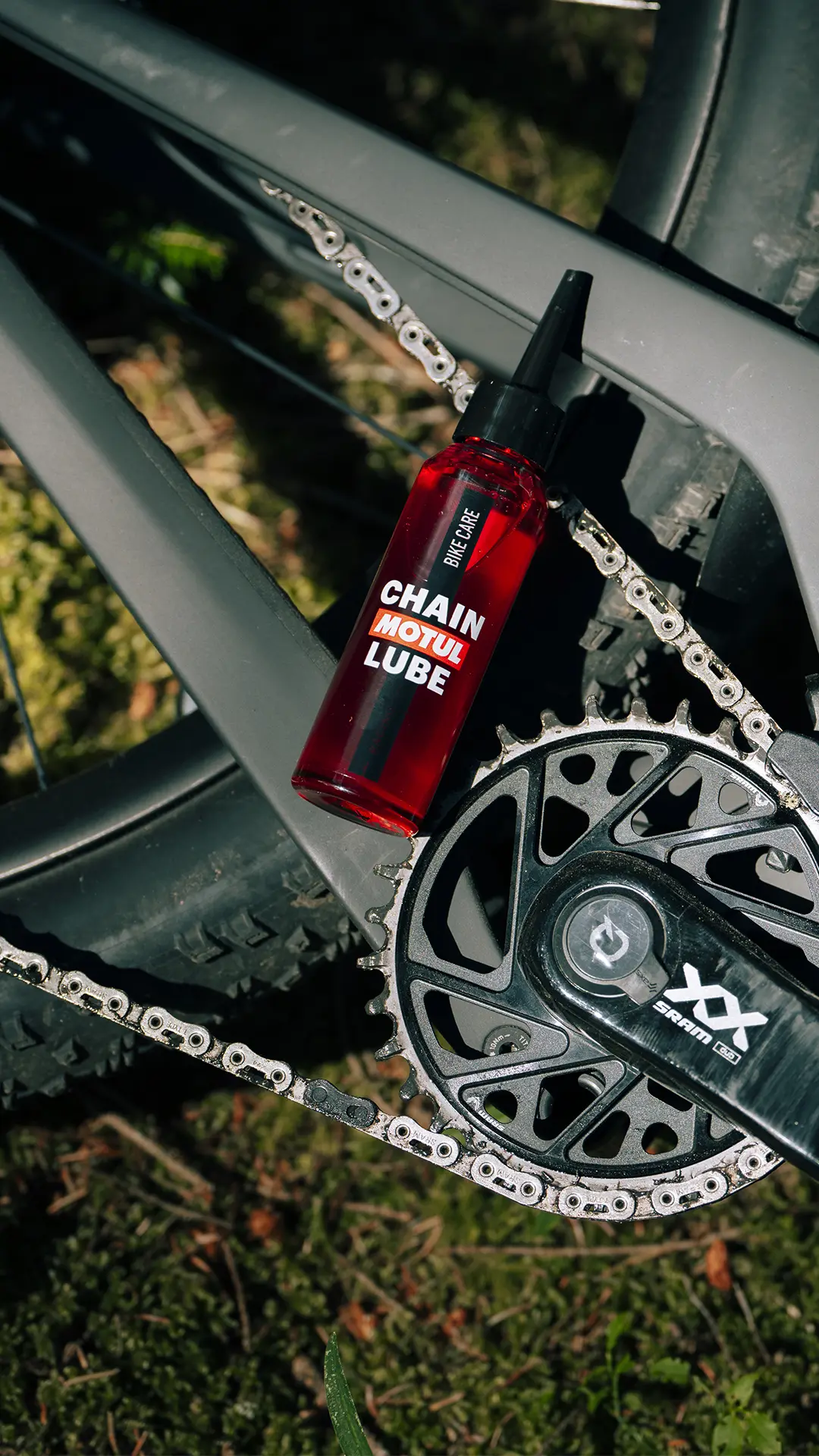 Una botella de lubricante para cadenas descansa sobre la rueda trasera y el plato de una bicicleta; la cadena y el cuadro de la bicicleta se ven a la luz natural.