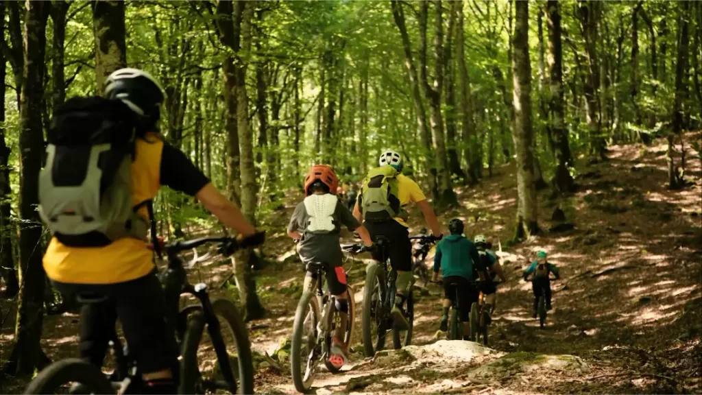 Un grupo de ciclistas de montaña que recorren un sendero de tierra a través de un bosque frondoso.