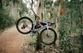 Una bicicleta gravel de color morado cuelga del tronco de un árbol junto a un sendero de tierra en una zona boscosa con eucaliptos, mostrando su diseño polivalente y dando una pista de las aventuras que están por venir.