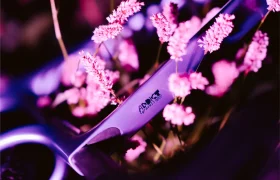 Primer plano de unas tijeras de peluquería plateadas con flores rosas al fondo, iluminadas por luces moradas y rosas, lo que crea un ambiente versátil en el que la elegancia cómoda se combina con colores vibrantes.