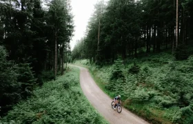 Un ciclista recorre un sinuoso camino de tierra que atraviesa un frondoso bosque, rodeado de altos árboles y helechos bajo un cielo nublado, y se desplaza sin esfuerzo por el terreno montado en una bicicleta de gravel polivalente SCOTT Addict Gravel 2027.