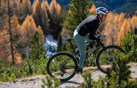 Un ciclista, equipado con casco y ropa de ciclismo, sube en bicicleta de montaña por un camino de grava, rodeado de pinos y con un bosque teñido de colores otoñales al fondo.