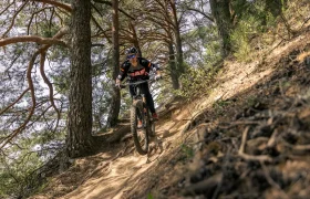 Una persona vestida de ciclista conduce una bicicleta de montaña con una actualización Bosch Performance por un estrecho sendero de tierra a través de un bosque con árboles altos y terreno irregular, mejorando su experiencia bici y su potencia en cada salida.