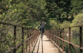 Dos personas cargadas con bicicletas de montaña atraviesan un puente estrecho rodeado de árboles y vegetación en un día soleado, dispuestas a vivir una experiencia sobre la bici con más potencia gracias a la Bosch Performance Upgrade.
