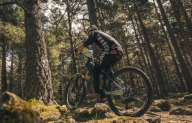Una persona con casco conduce una bicicleta de montaña cuesta arriba por un sendero rocoso a través de un denso bosque, aprovechando el control y la potencia de una Bosch Performance Upgrade mientras la luz del sol se filtra entre los árboles.