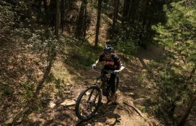 Un ciclista con casco conduce una bicicleta de montaña cuesta arriba por una pista forestal rocosa, disfrutando de más potencia y una experiencia sobre la bici mejorada gracias al Bosch Performance Upgrade 2.0, rodeado de árboles y la luz del sol.