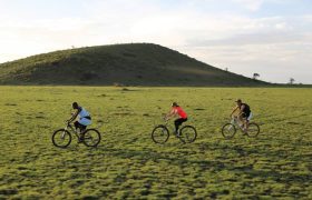 CYCLING SAFARI