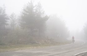 DSC2071