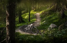 Una bicicleta eléctrica de montaña (e-MTB) FOCUS 2027 está aparcada en un estrecho sendero de tierra que serpentea a través de un bosque verde y soleado, salpicado de árboles y rocas.
