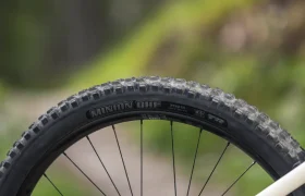 Primer plano de una rueda de bicicleta de montaña con la inscripción «Minion DHR II» y un dibujo de banda de rodadura con tacos, mostrada al aire libre con un fondo verde difuminado: ideal para afrontar senderos accidentados con tu JAM o con la próxima e-MTB 2027.