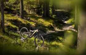 Una bicicleta eléctrica de montaña FOCUS se encuentra en un sendero forestal cubierto de hierba y bañado por el sol, rodeada de árboles y de una exuberante vegetación.