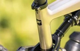 Primer plano de la tija de sillín y la articulación de la suspensión trasera de una bicicleta eléctrica de montaña (e-MTB) FOCUS, en el que se aprecian los detalles mecánicos y parte del cuadro de la bicicleta, con un fondo natural desenfocado.