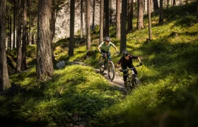 Dos personas van en bicicletas de montaña eléctricas JAM y FOCUS e-MTB 2027 por un estrecho sendero de tierra que atraviesa un bosque bañado por el sol, con hierba verde y árboles altos.