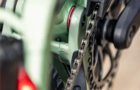 FOCUS_MY27_THRON-8_H4A4787